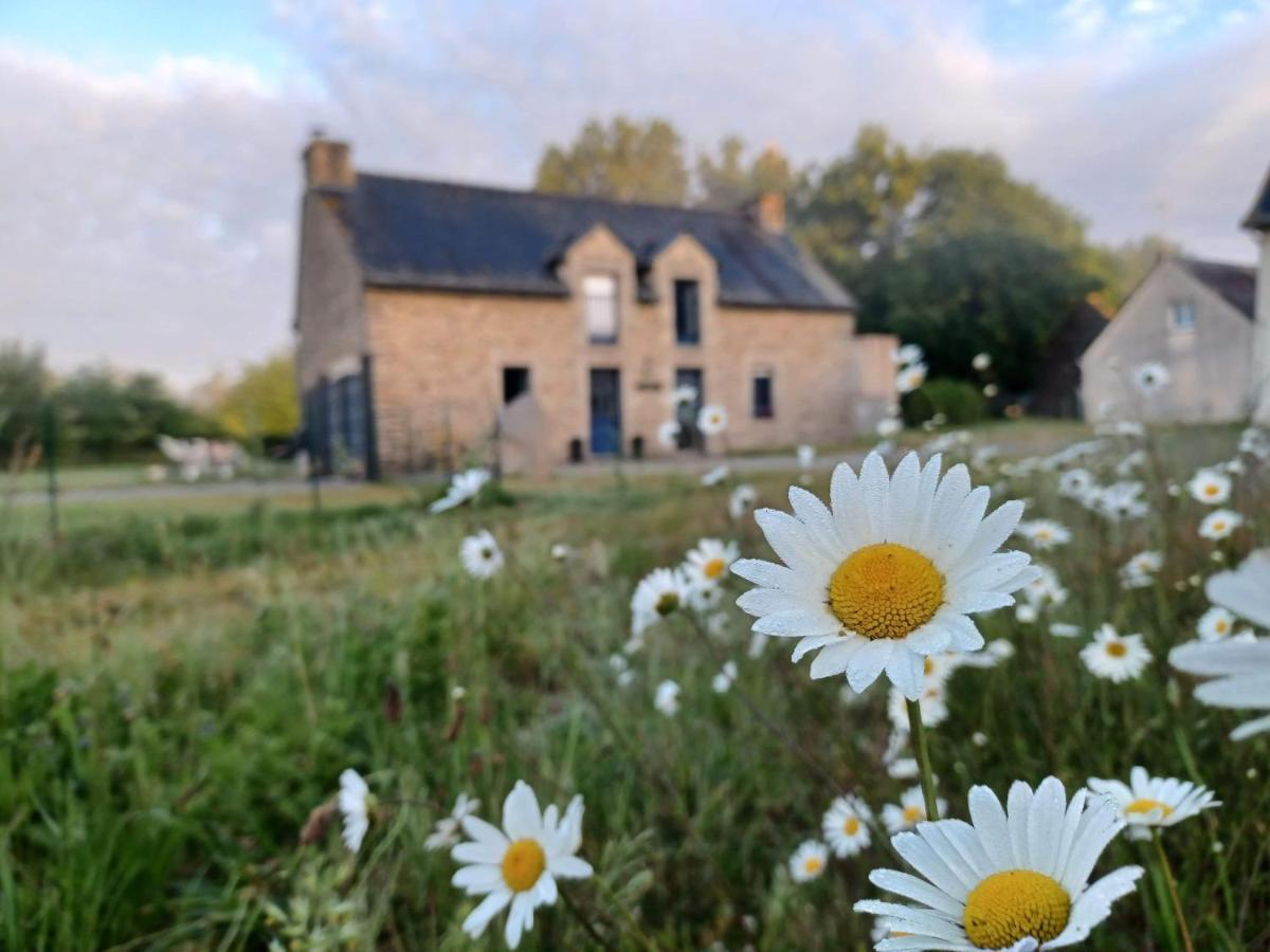 Au Petit Bonheur De Claire Et Jo Bed & Breakfast La Chapelle-Caro Екстериор снимка