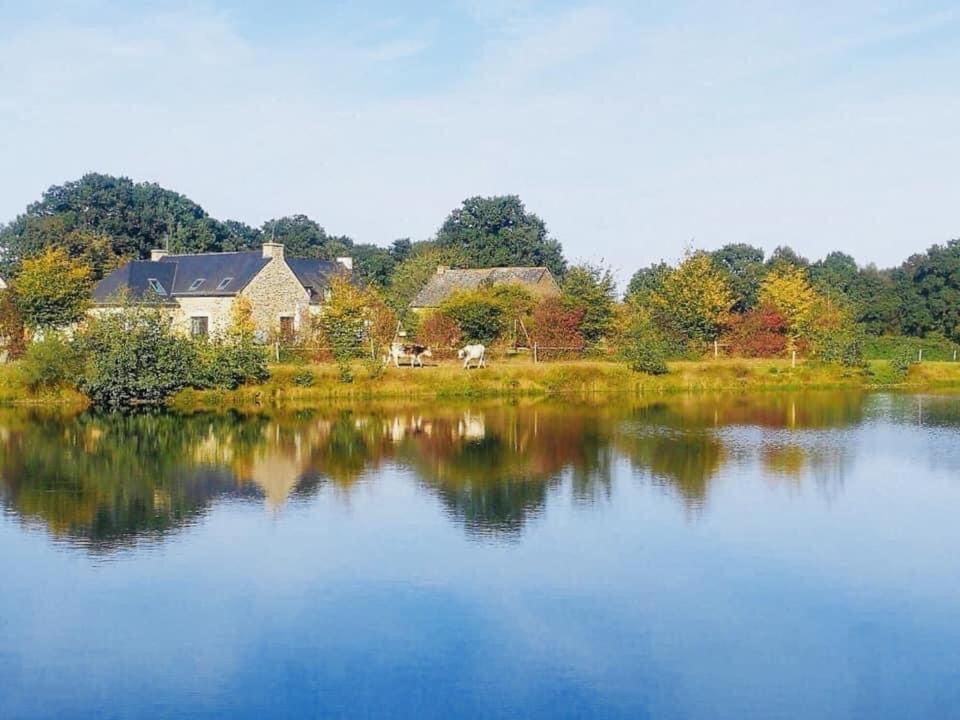 Au Petit Bonheur De Claire Et Jo Bed & Breakfast La Chapelle-Caro Екстериор снимка